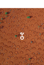 Load image into Gallery viewer, Plant a tree